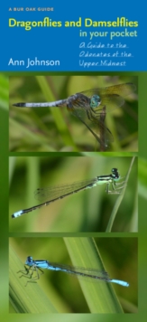 Dragonflies and Damselflies in Your Pocket : A Guide to the Odonates of the Upper Midwest