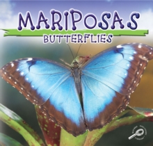 Mariposas : Butterflies
