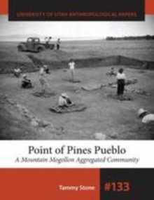 Point of Pines Pueblo : A Mountain Mogollon Aggregated Community