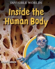 Inside the Human Body