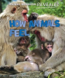 How Animals Feel