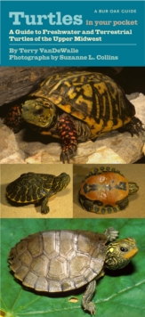 Turtles in Your Pocket : A Guide to Freshwater and Terrestrial Turtles of the Upper Midwest