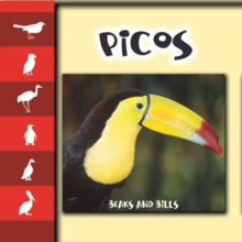 Picos : Beaks and Bills