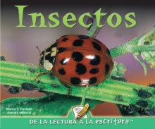 Insectos : Insects