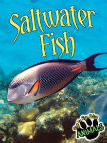 Saltwater Fish