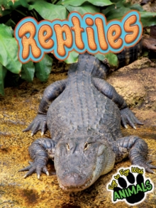 Reptiles