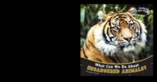 What Can We Do About Endangered Animals?