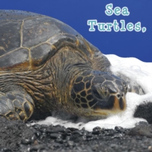 Sea Turtles, What Do You Do?