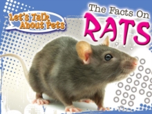 The Facts On Rats