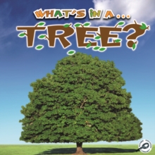 What's in a... Tree?