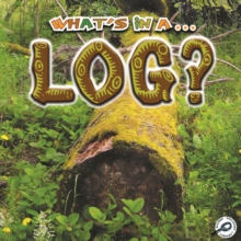 What's in a... Log?