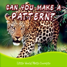 Can You Make A Pattern?