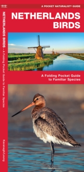 Netherlands Birds : A Folding Pocket Guide to Familiar Species