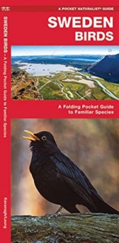 Sweden Birds : A Folding Pocket Guide to Familiar Species