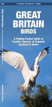 Great Britain Birds : A Folding Pocket Guide to Familiar Species of England, Scotland & Wales