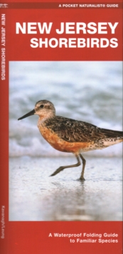 New Jersey Shorebirds : A Waterproof Folding Guide to Familiar Species