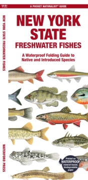 New York State Freshwater Fishes : A Waterproof Folding Guide to Native and Introduced Species