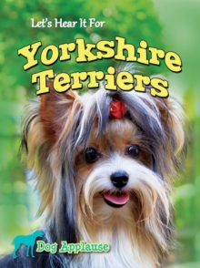 Let's Hear It For Yorkshire Terriers