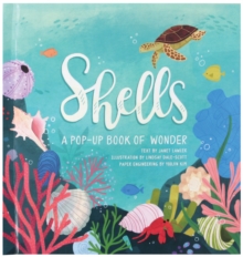 Shells : A Pop-Up Book of Wonder