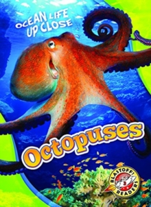 Octopuses