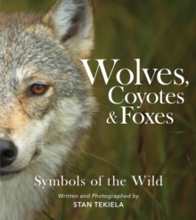 Wolves, Coyotes & Foxes : Symbols of the Wild