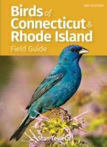 Birds of Connecticut Field Guide