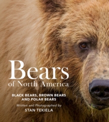 Bears of North America : Black Bears, Brown Bears, and Polar Bears