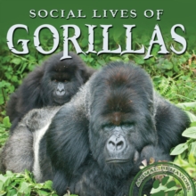 Social Lives of Gorillas