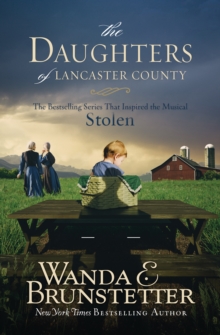 The Daughters of Lancaster County : The Bestselling Series That Inspired the Musical, Stolen