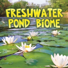 Seasons Of The Freshwater Pond Biome