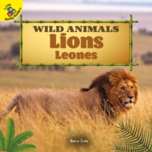 Lions : Leones