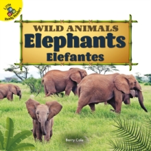 Elephants : Elefantes