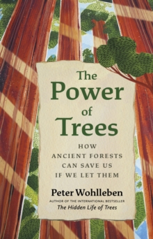 The Power of Trees : How Ancient Forests Can Save Us if We Let Them
