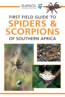 First Field Guide To Spiders Amp Scorpions Of Southern