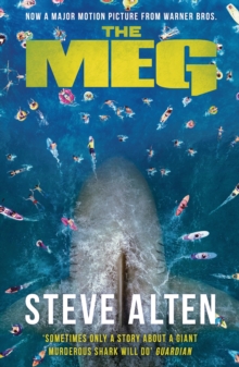 The MEG