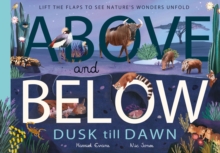 Above and Below: Dusk till Dawn : Lift the flaps to see nature's wonders unfold