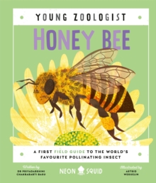 Honey Bee (Young Zoologist) : A First Field Guide to the World’s Favourite Pollinating Insect
