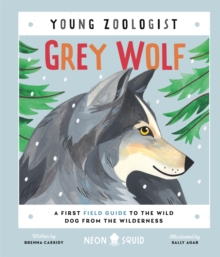 Grey Wolf (Young Zoologist) : A First Field Guide to the Wild Dog from the Wilderness
