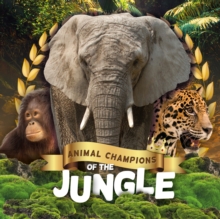 Jungle