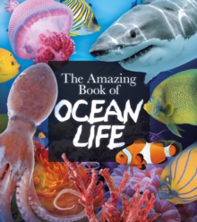 The Amazing Book of Ocean Life