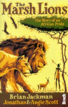 Marsh Lions The Story Of An African Pride Jonathan