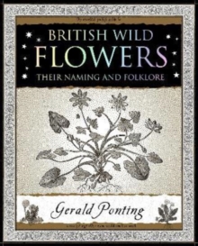 British Wild Flowers : Their Naming and Folklore