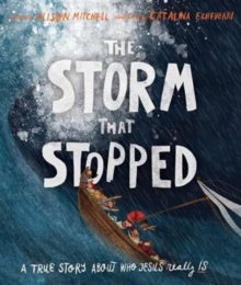 The Storm That Stopped Storybook : A true story about who Jesus really is