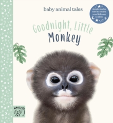 Goodnight, Little Monkey : Simple stories sure to soothe your little one to sleep