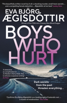Boys Who Hurt : The chilling, intriguing, MASTERFUL new Forbidden Iceland mystery