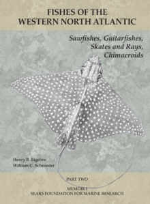 Sawfishes, Guitarfishes, Skates and Rays, Chimaeroids : Part 2
