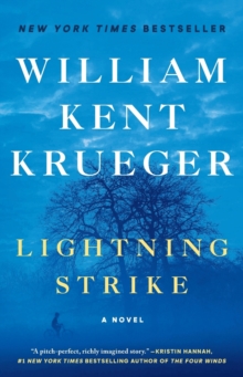 Lightning Strike : A Novel