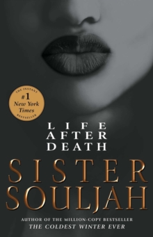 Life After Death : A Novel