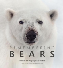 Remembering Bears