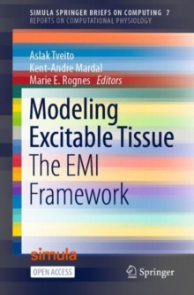 Modeling Excitable Tissue : The EMI Framework